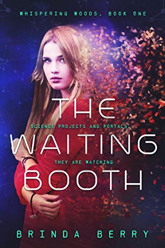 The Waiting Booth by Brinda Berry